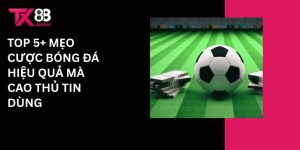 Top 5+ mẹo cược bóng đá hiệu quả mà cao thủ tin dùng