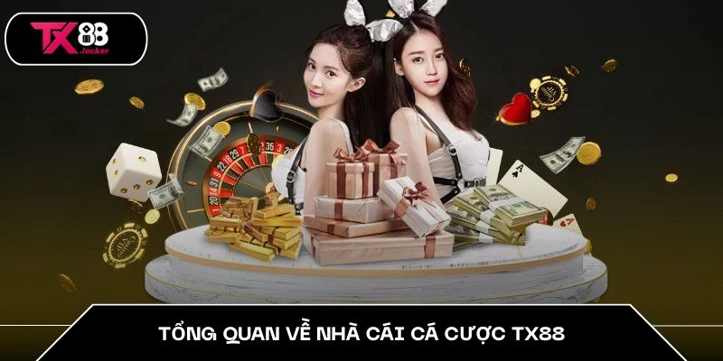 Tổng quan về nhà cái cá cược TX88