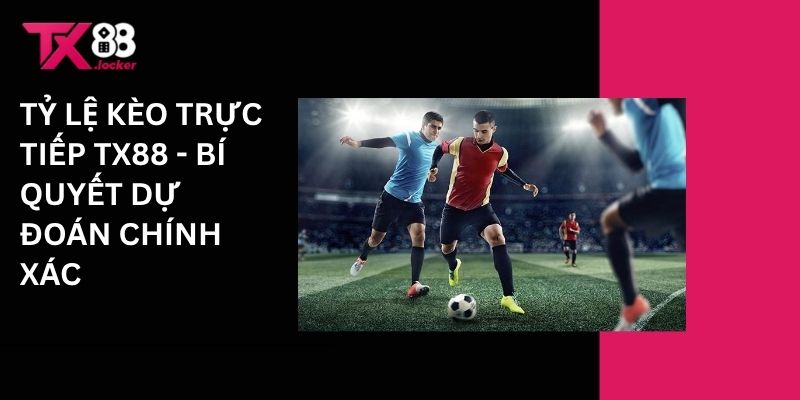 Tỷ lệ kèo cược tiếp Tx88 - Bí quyết dự đoán chính xác